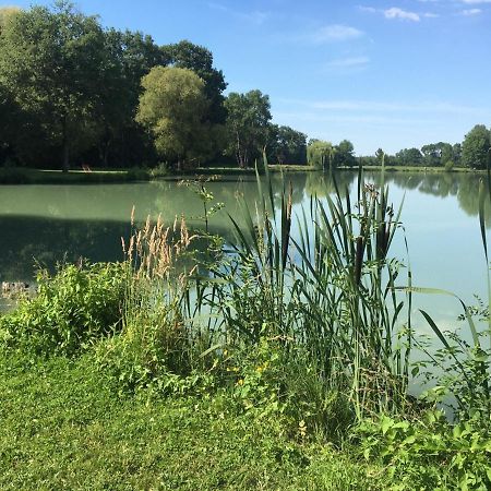 Le Gite De L'Atelier Affittacamere Lailly-en-Val Esterno foto