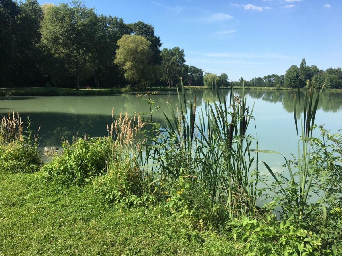 Le Gite De L'Atelier Affittacamere Lailly-en-Val Esterno foto