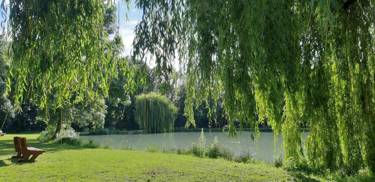 Le Gite De L'Atelier Affittacamere Lailly-en-Val Esterno foto